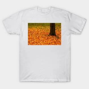 Autumn's Dancing Carpet © T-Shirt